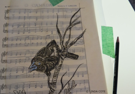 LINDA COTE-Blackbird drawing